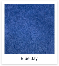 Blue Jay