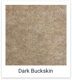 Dark Buckskin