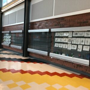 ShowVault Sliding4 ShowVault Sliding4