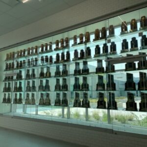 ShowVault7 ShowVault7